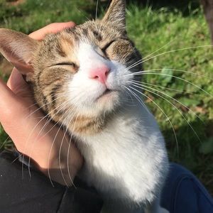 Meet your Posher, Caroline